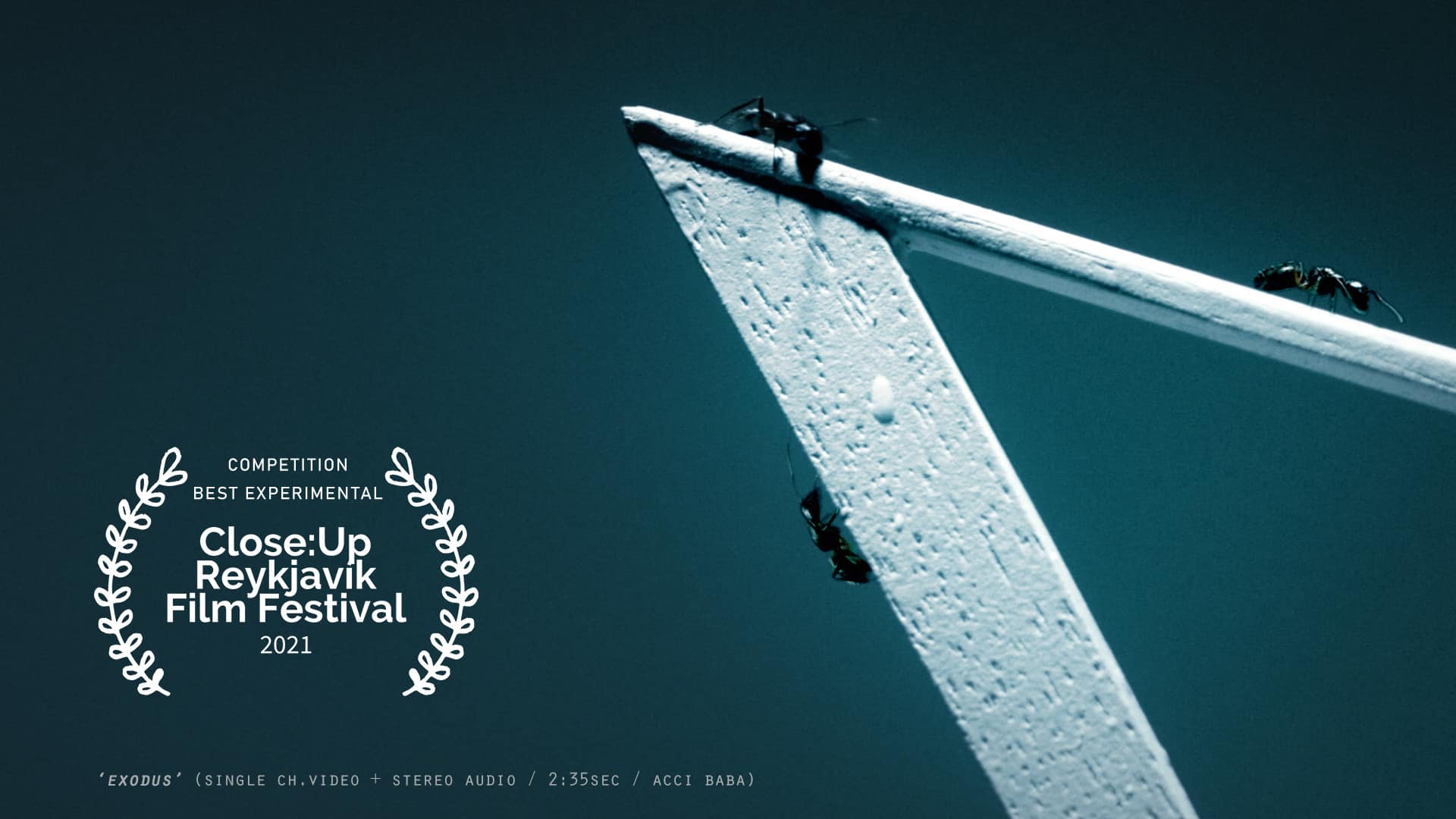 Competition | Close:Up Reykjavík Film Festival 2021