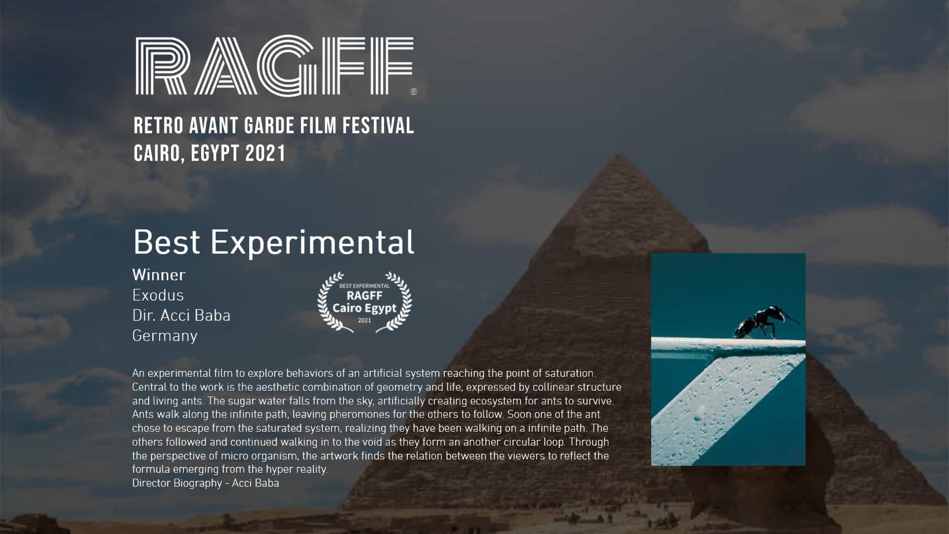 Best Experimental – ‘exodus’ | Retro Avant Garde Film Fest, CAIRO 2021